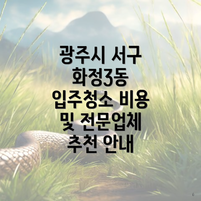 광주시 서구 화정3동 입주청소 비용 및 전문업체 추천 안내