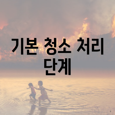 기본 청소 처리 단계