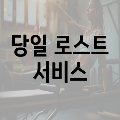 당일 로스트 서비스