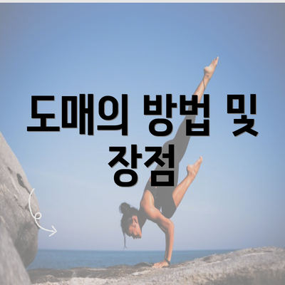 도매의 방법 및 장점