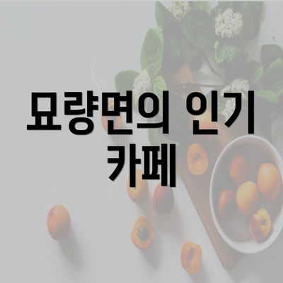 묘량면의 인기 카페