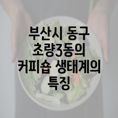 부산시 동구 초량3동의 커피숍 생태계의 특징