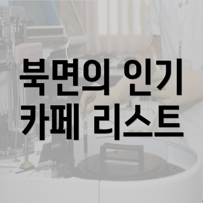 북면의 인기 카페 리스트