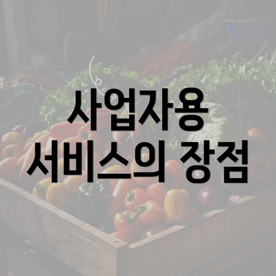 사업자용 서비스의 장점