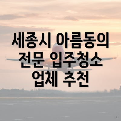 세종시 아름동의 전문 입주청소 업체 추천