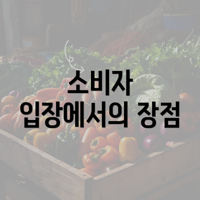 소비자 입장에서의 장점