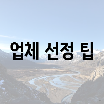 업체 선정 팁