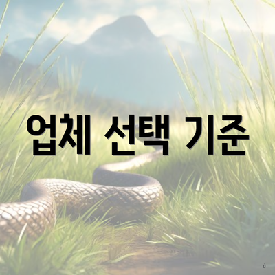 업체 선택 기준