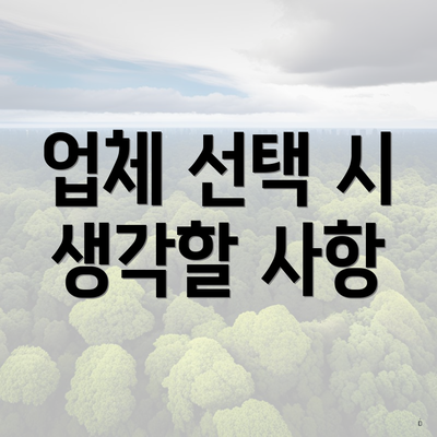 업체 선택 시 생각할 사항