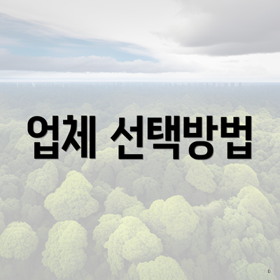 업체 선택방법