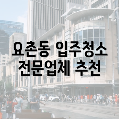 요촌동 입주청소 전문업체 추천