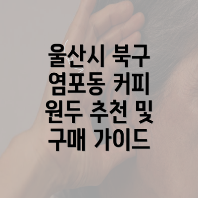 울산시 북구 염포동 커피 원두 추천 및 구매 가이드