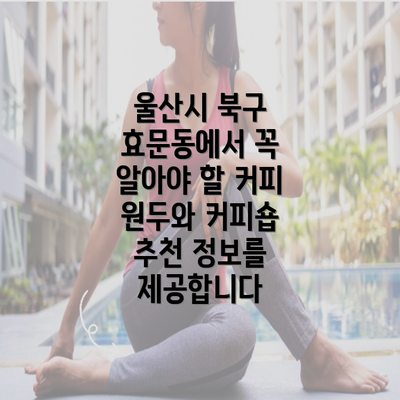 울산시 북구 효문동에서 꼭 알아야 할 커피 원두와 커피숍 추천 정보를 제공합니다