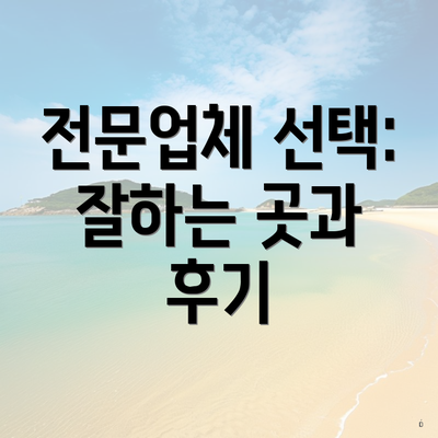 전문업체 선택: 잘하는 곳과 후기