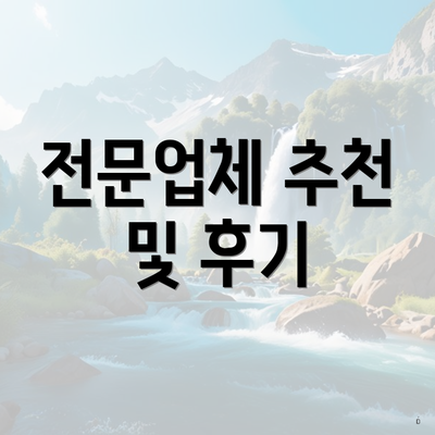 전문업체 추천 및 후기