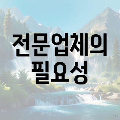 전문업체의 필요성