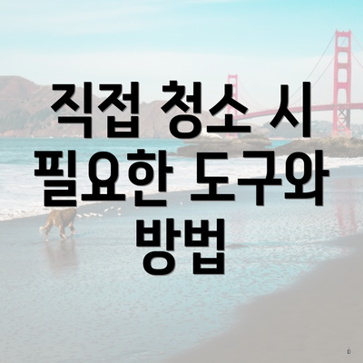 직접 청소 시 필요한 도구와 방법