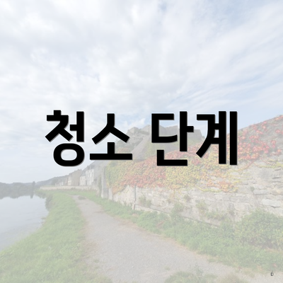 청소 단계