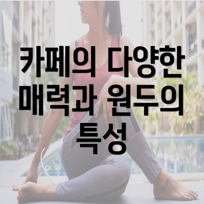 카페의 다양한 매력과 원두의 특성