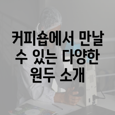 커피숍에서 만날 수 있는 다양한 원두 소개