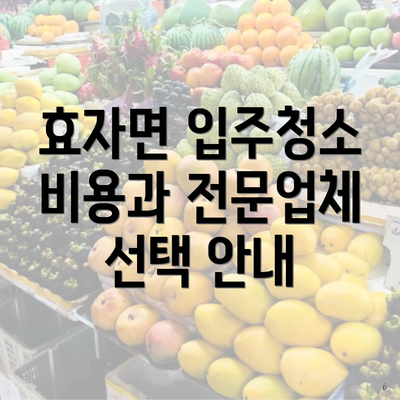 효자면 입주청소 비용과 전문업체 선택 안내