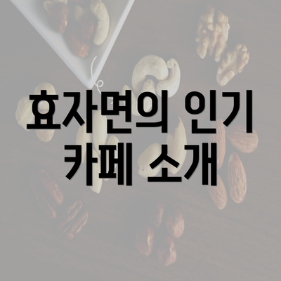 효자면의 인기 카페 소개