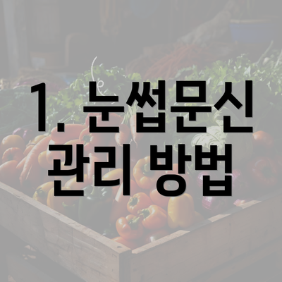 1. 눈썹문신 관리 방법