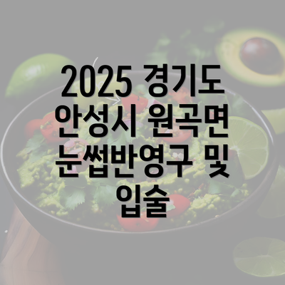 2025 경기도 안성시 원곡면 눈썹반영구 및 입술