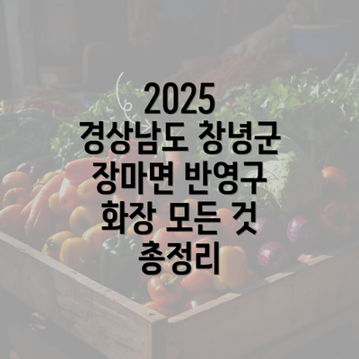 2025 경상남도 창녕군 장마면 반영구 화장 모든 것 총정리