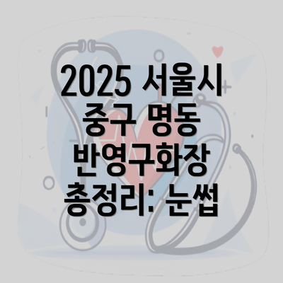 2025 서울시 중구 명동 반영구화장 총정리: 눈썹