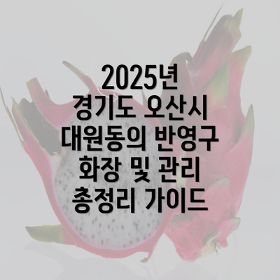 2025년 경기도 오산시 대원동의 반영구 화장 및 관리 총정리 가이드