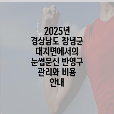 2025년 경상남도 창녕군 대지면에서의 눈썹문신 반영구 관리와 비용 안내