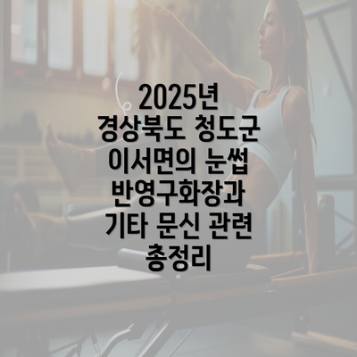 2025년 경상북도 청도군 이서면의 눈썹 반영구화장과 기타 문신 관련 총정리