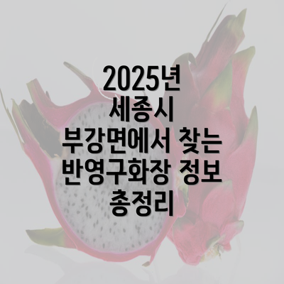 2025년 세종시 부강면에서 찾는 반영구화장 정보 총정리