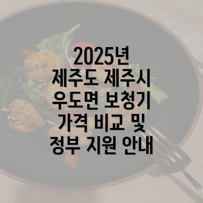 2025년 제주도 제주시 우도면 보청기 가격 비교 및 정부 지원 안내