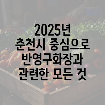 2025년 춘천시 중심으로 반영구화장과 관련한 모든 것