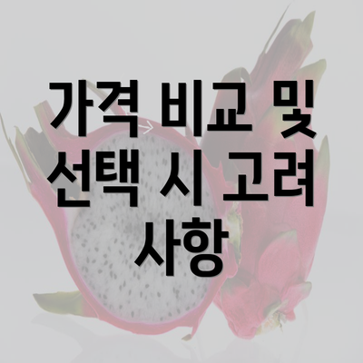 가격 비교 및 선택 시 고려 사항