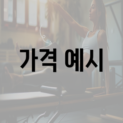 가격 예시