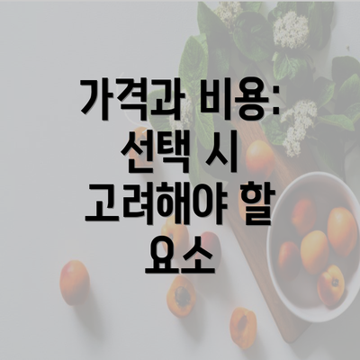 가격과 비용: 선택 시 고려해야 할 요소