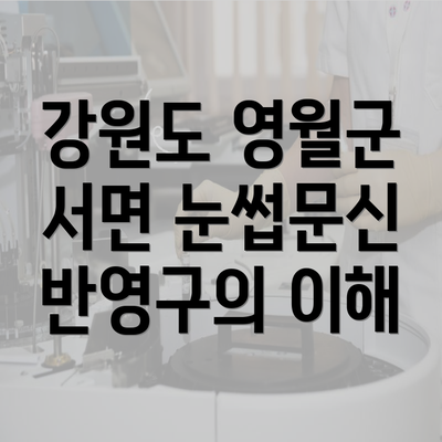 강원도 영월군 서면 눈썹문신 반영구의 이해