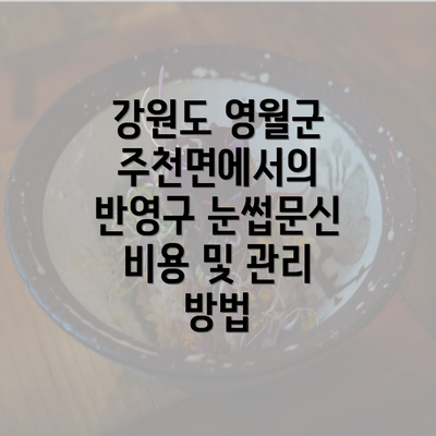 강원도 영월군 주천면에서의 반영구 눈썹문신 비용 및 관리 방법