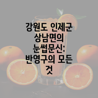 강원도 인제군 상남면의 눈썹문신: 반영구의 모든 것