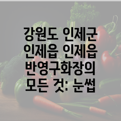 강원도 인제군 인제읍 인제읍 반영구화장의 모든 것: 눈썹