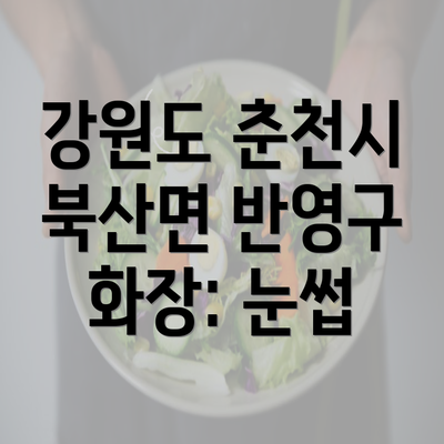 강원도 춘천시 북산면 반영구 화장: 눈썹