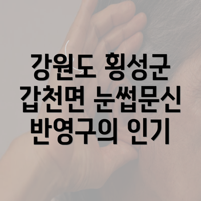 강원도 횡성군 갑천면 눈썹문신 반영구의 인기