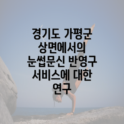 경기도 가평군 상면에서의 눈썹문신 반영구 서비스에 대한 연구