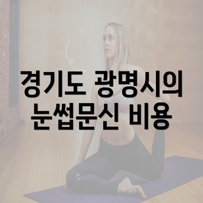 경기도 광명시의 눈썹문신 비용