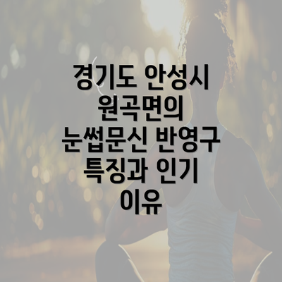 경기도 안성시 원곡면의 눈썹문신 반영구 특징과 인기 이유