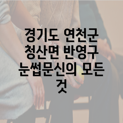 경기도 연천군 청산면 반영구 눈썹문신의 모든 것