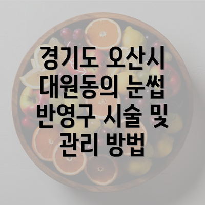 경기도 오산시 대원동의 눈썹 반영구 시술 및 관리 방법